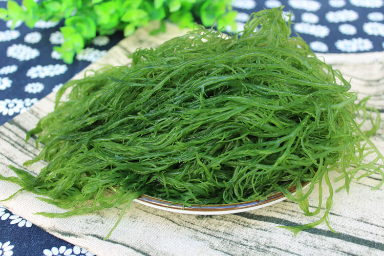 盐渍海草龙须菜5斤新鲜海菜海藻菜海草丝海石花菜凉拌菜裙带海带