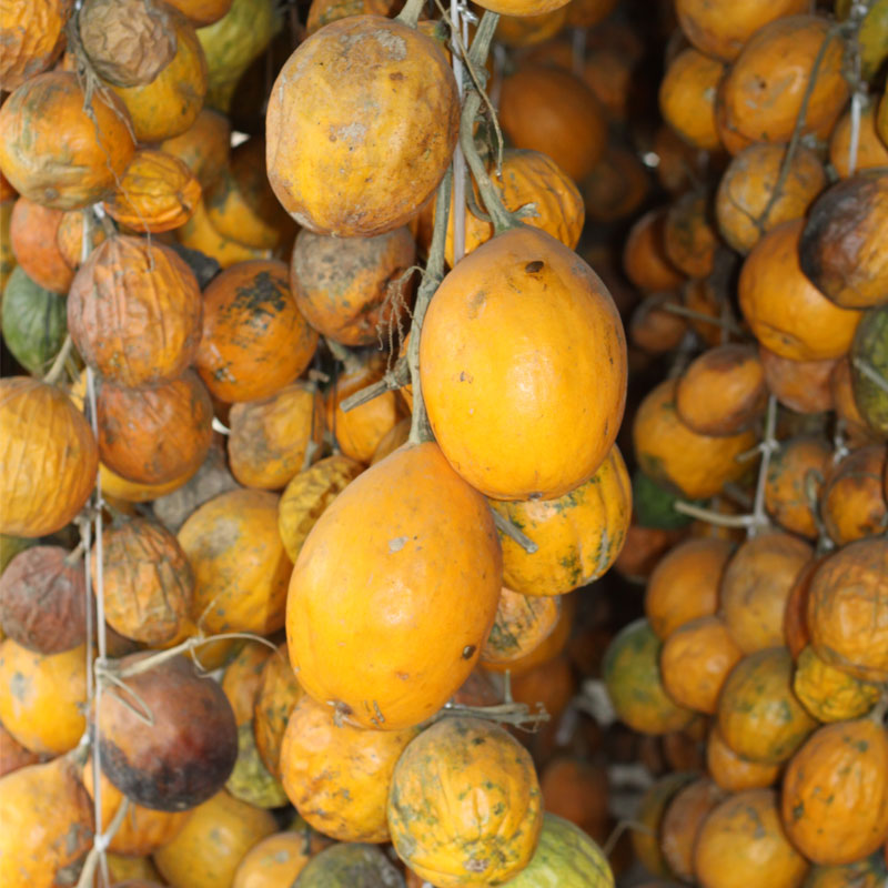 新货瓜蒌中药材500g栝楼干瓜蒌果整个野葫芦全瓜蒌吊瓜蒌粉瓜蒌实
