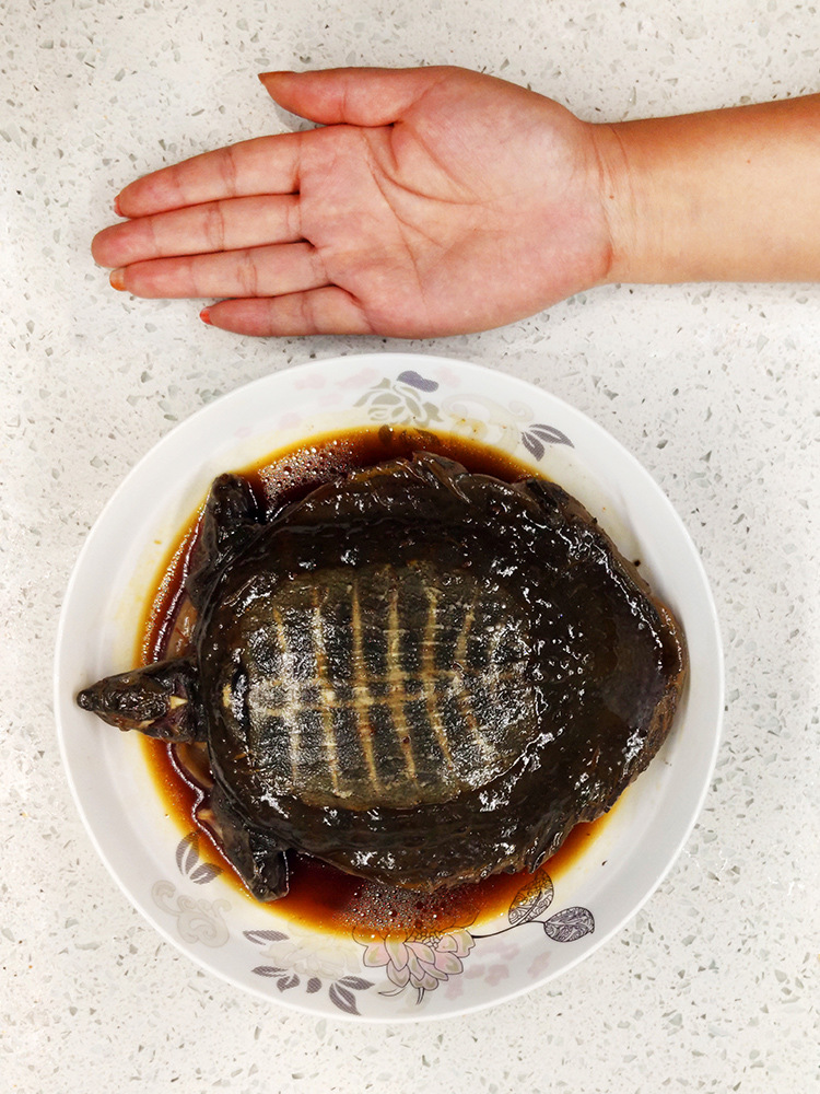 信阳卤甲鱼潢川光山邱县长抖音同款即食熟特产外塘老鳖王八下酒菜 450