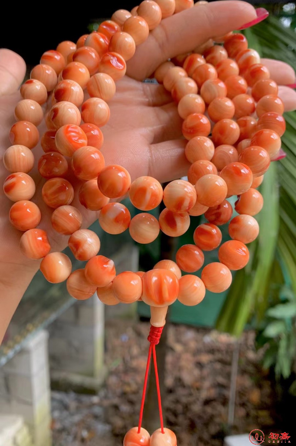 初嘉 万宝螺手串108颗手链 佛珠项链挂件 毛衣链高端本命年挂带血槽