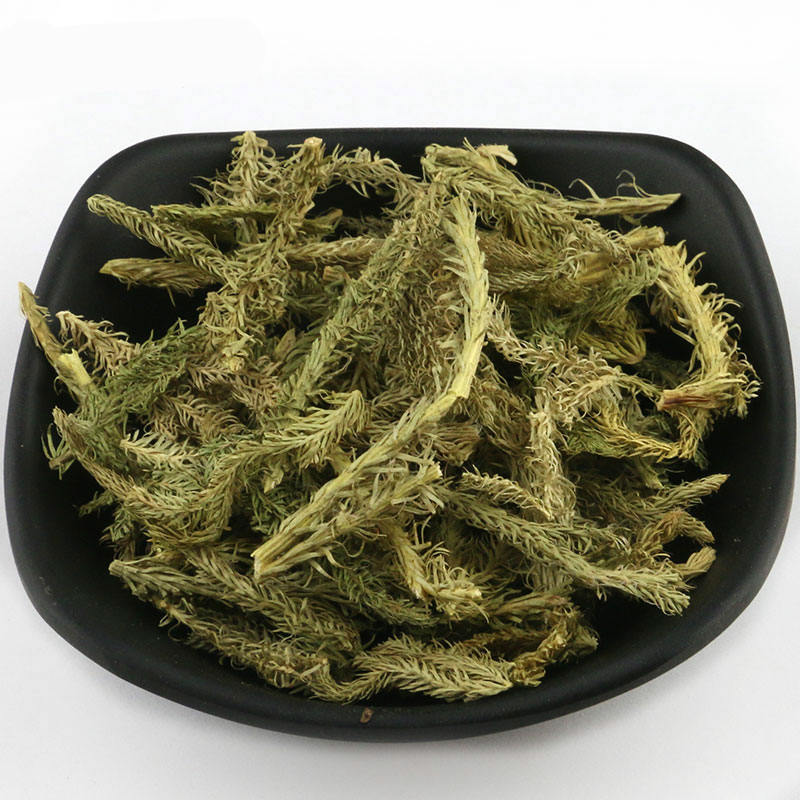 伟博伸筋草500克g中药材河北石松狮子草狮子尾大伸筋草伸筋草500克