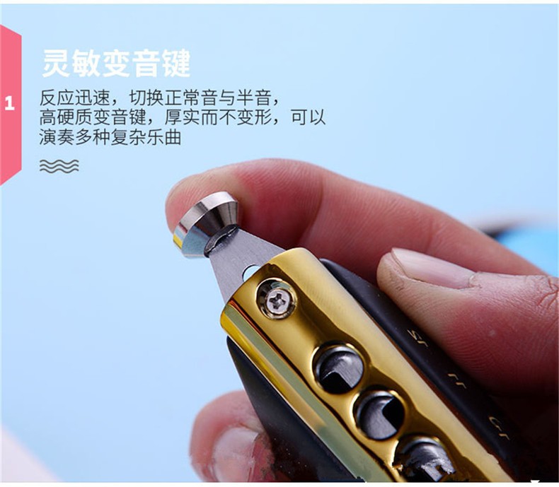 追梦人新膜12孔48音半音阶口琴新手初学入门款可变调乐器 银色梦想者