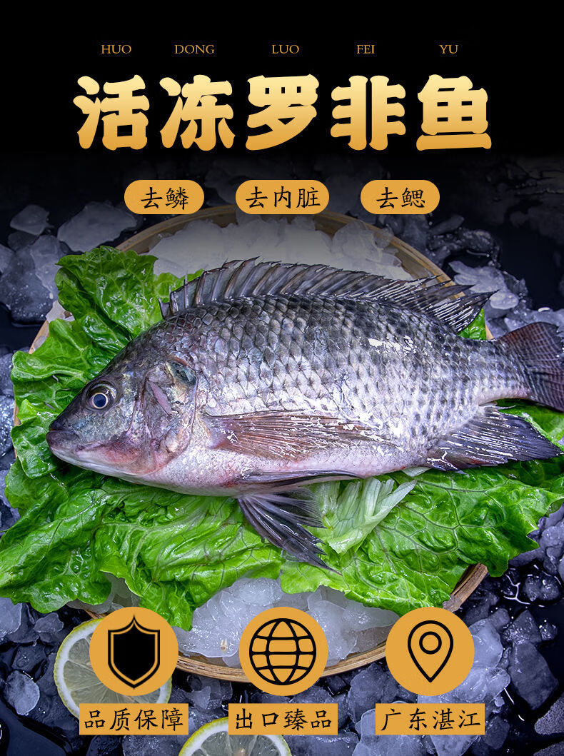 湛江三去罗非鱼/鲷鱼冷冻罗飞真空包装800-700g烤鱼预制菜非脆肉 700g