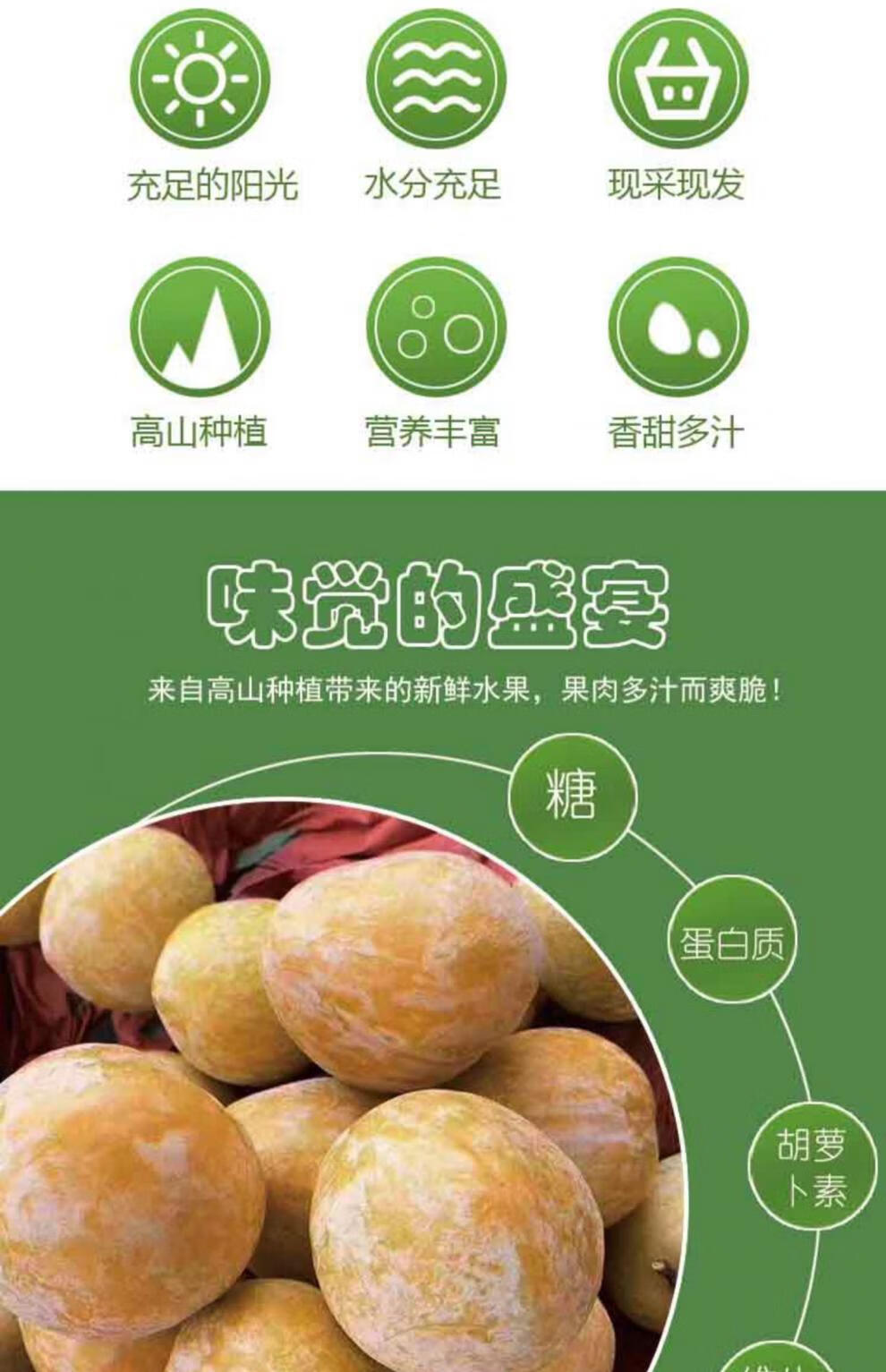 正宗乐昌九峰山黄金奈李新鲜水果广东韶关蜂糖李子大果脆甜爽现摘5斤