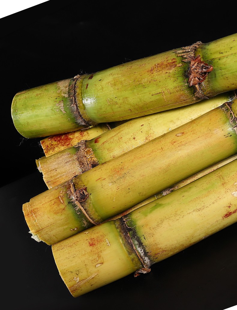 青毅果广西黄皮甘蔗9斤农家脆甜甘蔗新鲜水果