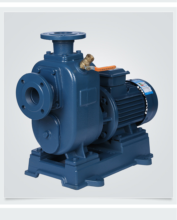 泰隆齐 bz直联式自吸泵清水泵管道离心泵管路加压泵大流量高扬程 100