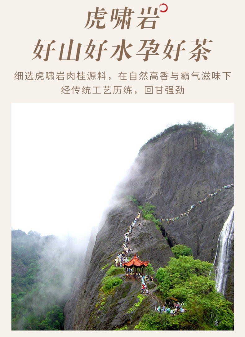 虎啸岩正岩肉桂茶特级大红袍茶叶武夷岩茶燕子窠马头岩500g