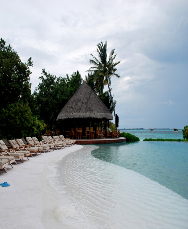 大海沙滩蓝天白云海边椰树风景主播拍视频段子直播背景布3d立体 851