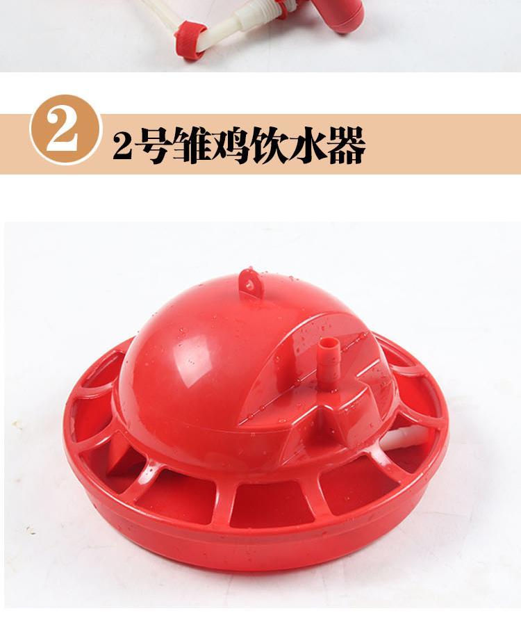 雏鸡专用普拉松自动饮水器雏鸡自动饮水器水壶养殖养鸡用品设备1号