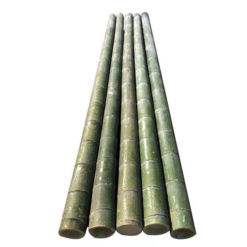 竹竿2米高种菜竹竿竹竿菜园搭架小竹子细竹竿种菜户外彩旗豆角黄瓜架