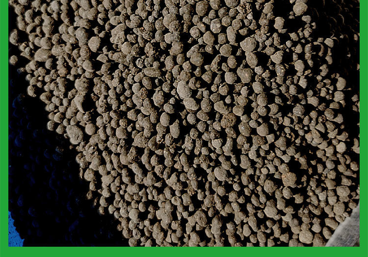 内蒙古风干纯羊粪内蒙古风干羊粪有机肥料种菜盆栽发酵羊粪蛋花卉生物