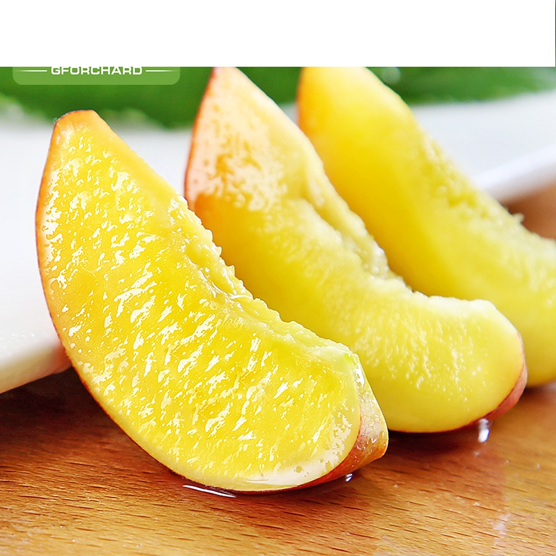 上海可发新鲜黄心油桃10斤桃子新鲜应季水果脆蜜桃孕妇黄肉水蜜桃整箱