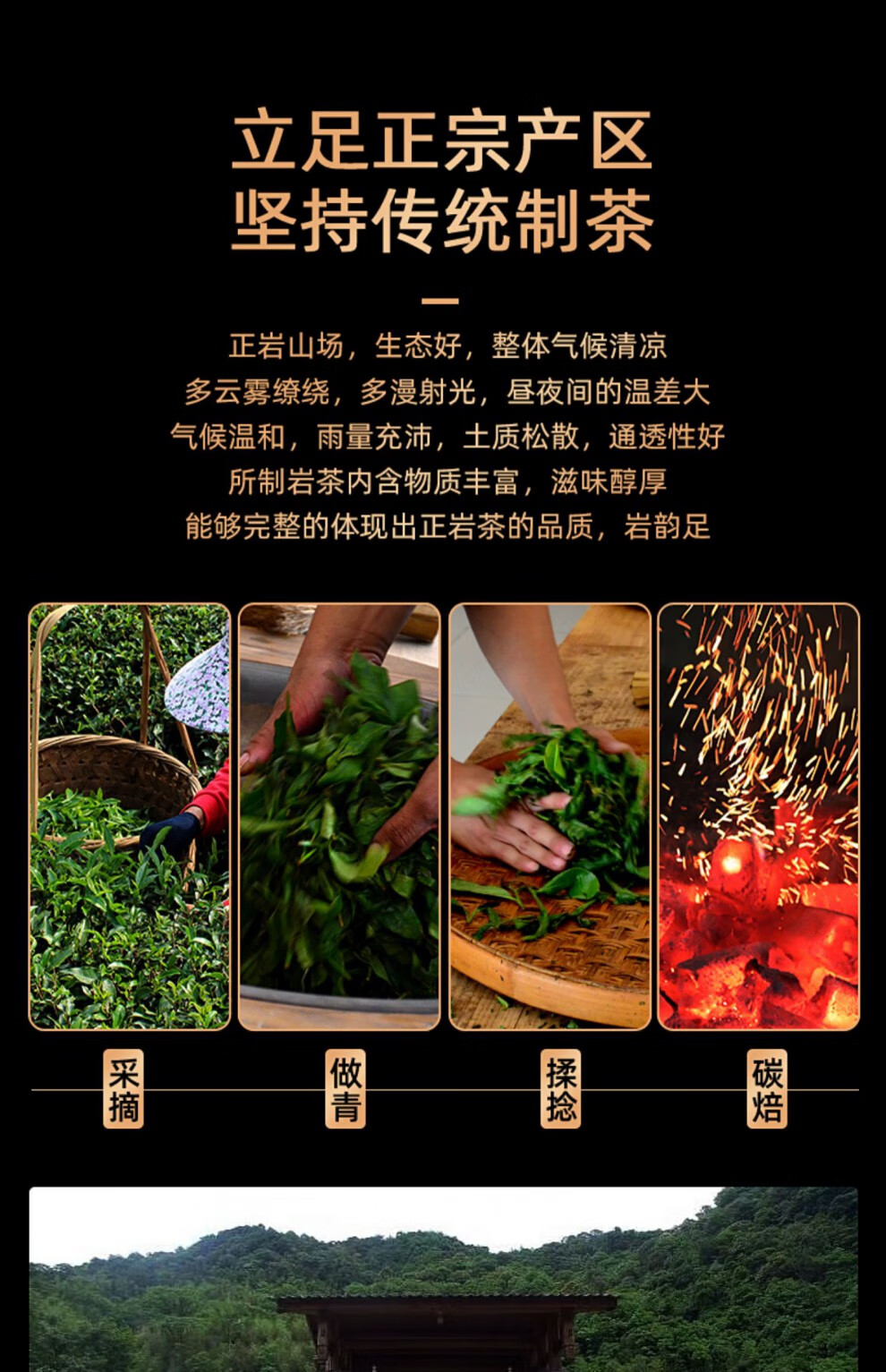 正岩肉桂茶 大红袍茶叶浓香型罐装 马头岩 500g【图片 价格 品牌 报价