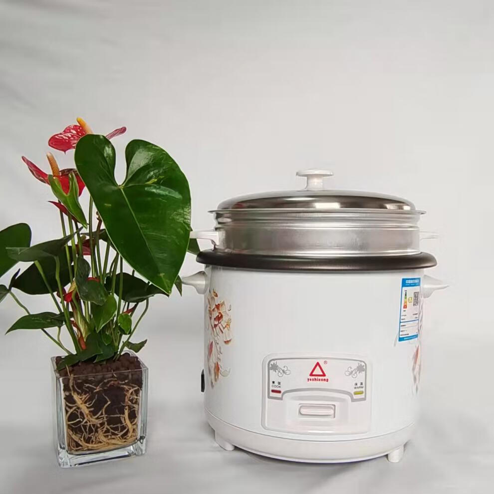 ceool电饭煲家用多功能小型迷你大容量电器 红三角 电饭锅700w/4l(每