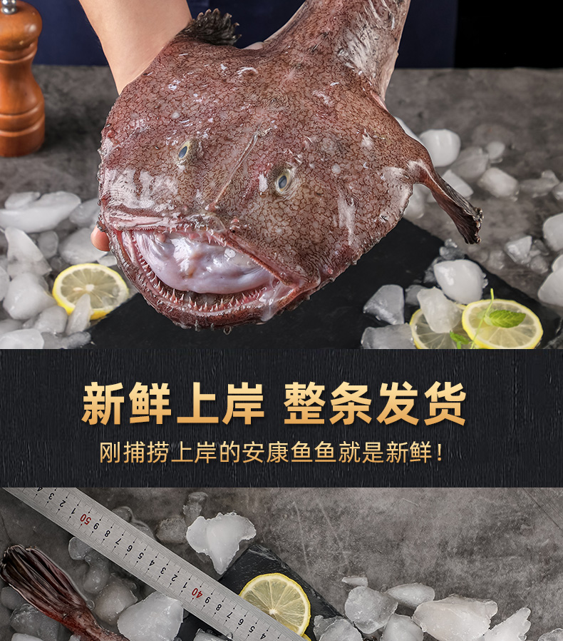 雨林食味安康鱼新鲜生鲜活深海鱼特大海捕海鱼蛤蟆鱼大嘴鱼鮟鱇鱼肝