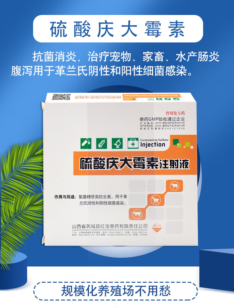 兽药硫酸庆大霉素注射用液兽用猪牛羊猫狗消炎鱼龟肠炎大庆霉素针10盒