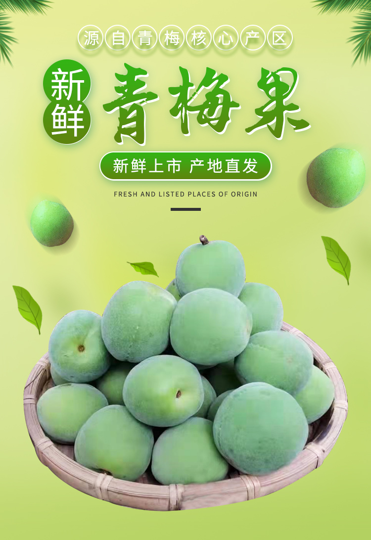 时染shiran云南现摘野生新鲜青梅5斤诏安青竹梅子酵素孕妇水果脆梅