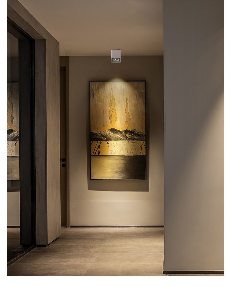 高品质led射灯美国普瑞明装方形双头斗胆灯cob射灯玄关过道吸顶led