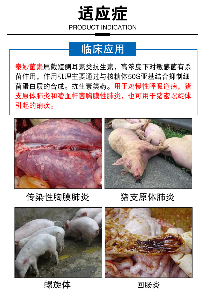 泰妙菌素兽用兽药80延胡索酸预混剂太妙可溶性粉回肠炎猪用支原净买10