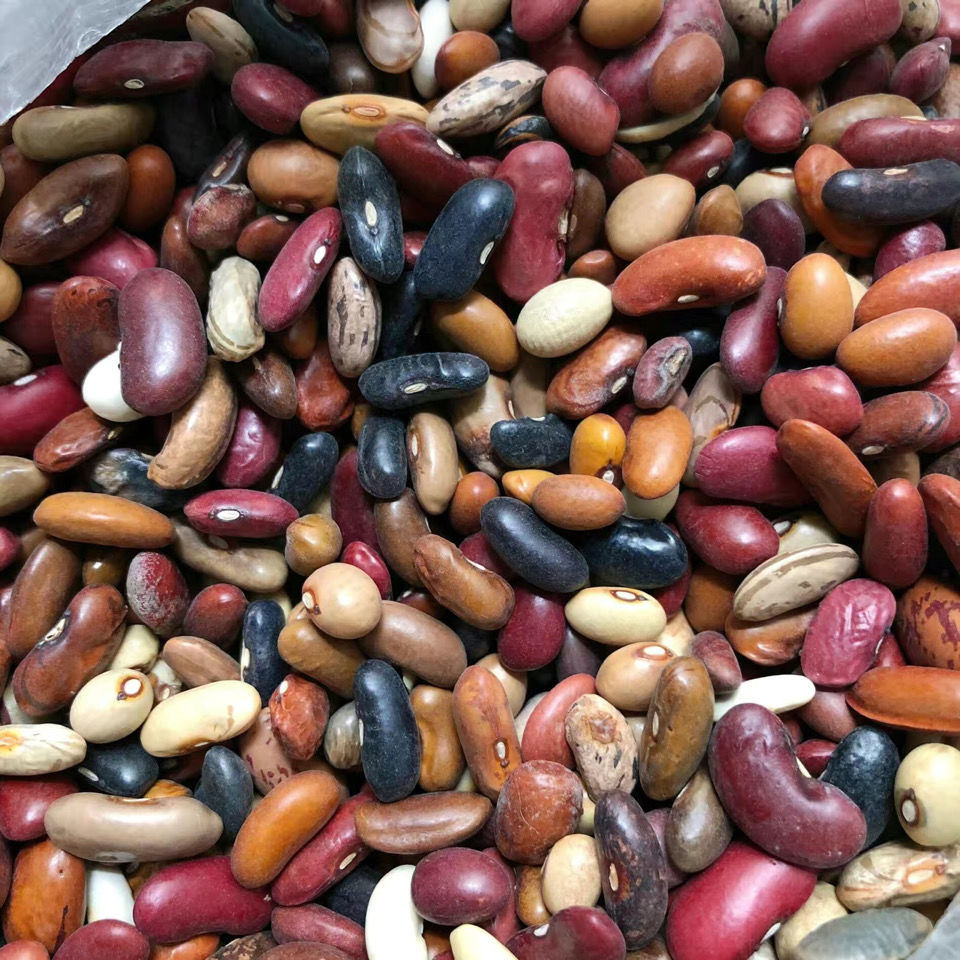 八宝豆农家自产杂芸豆豆类组合红腰豆八宝粥原料杂粮豆 5斤装【图片