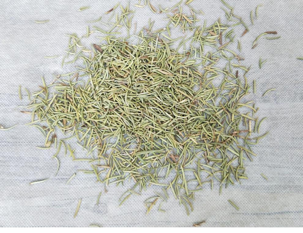 迷迭香500g-50g迷失香花草茶干迭迷香叶子另售柠檬草马鞭 迷迭香【100