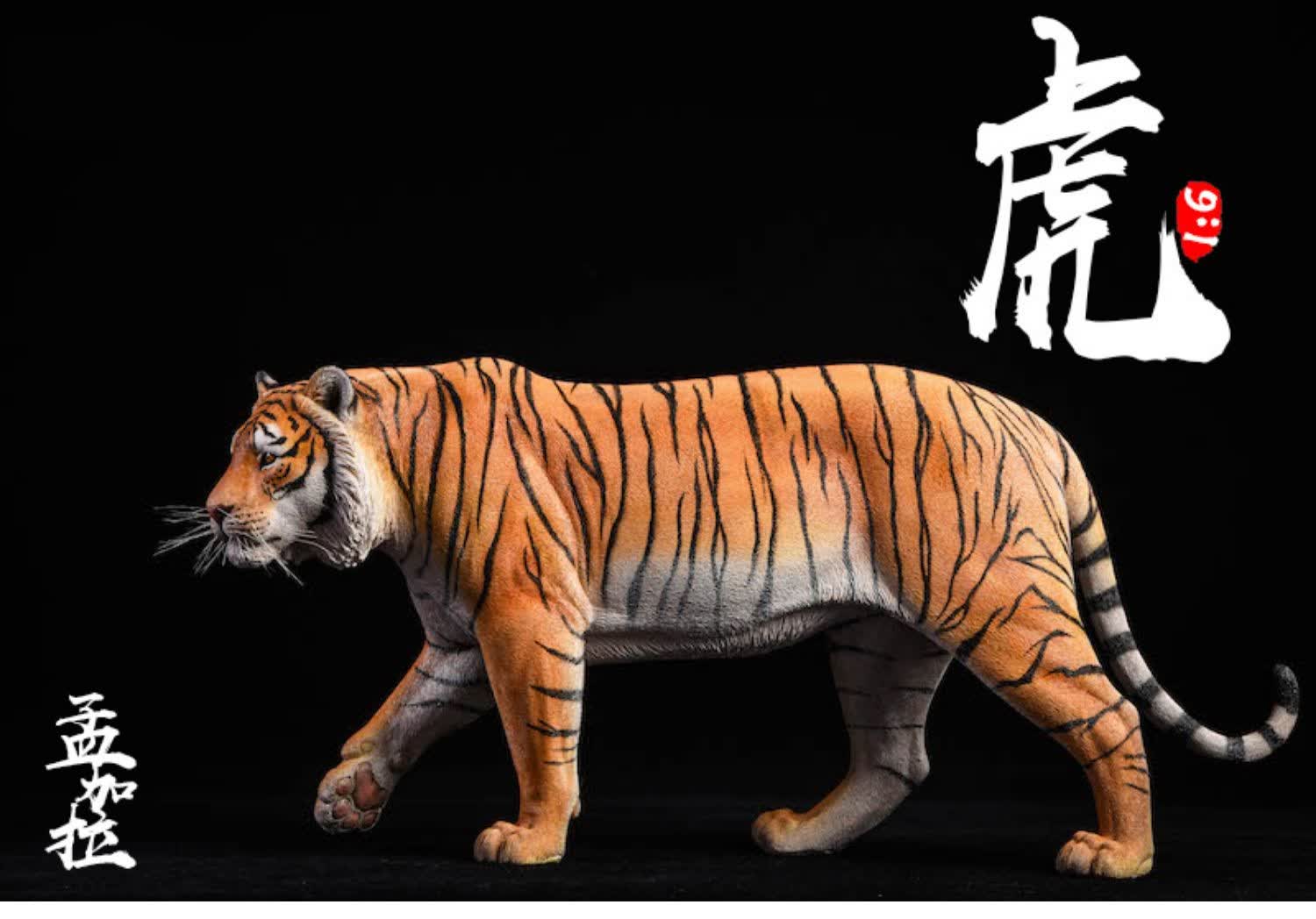 定制仿真动物模型1/6孟加拉虎模型仿真大型动物工艺品摆件老虎周边