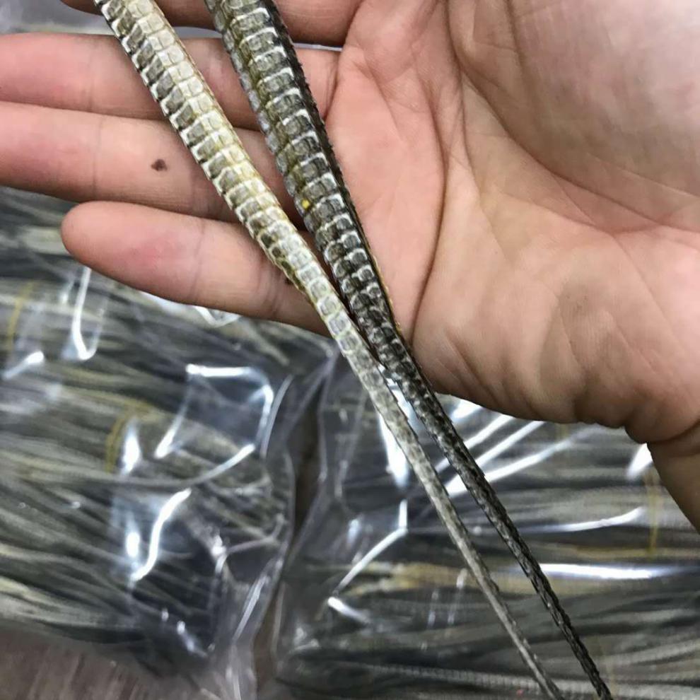 男性滋补品海龙公母干货男人泡酒药材中药材壮煲阳汤 六角海龙3对6只