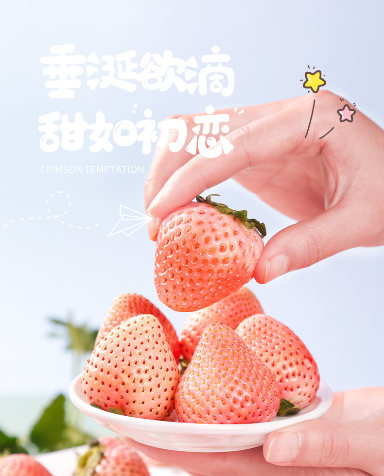 青樱红荔粉玉白草莓新鲜礼盒装非红颜淡雪大牛奶油丹东99顺丰速运700g