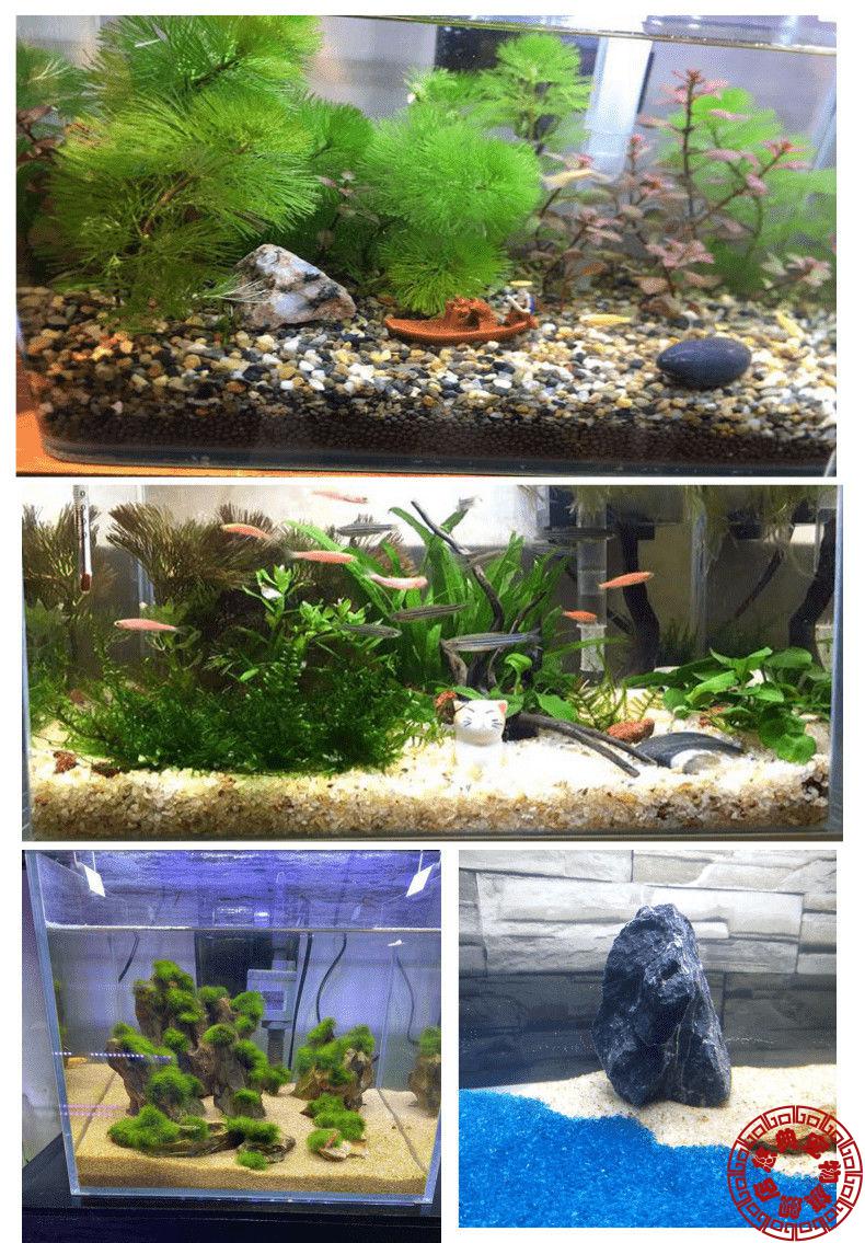 2毫米黑金沙 1斤【图片 价格 品牌 报价】-京东