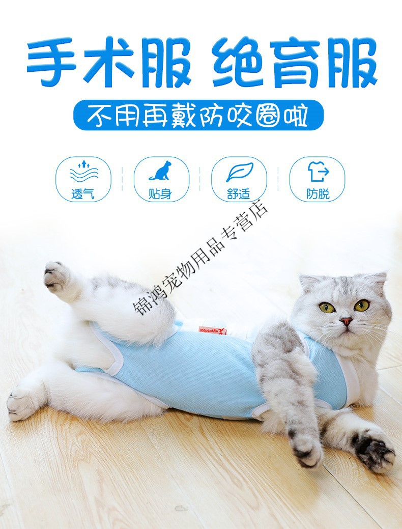 猫咪手术服母猫绝育衣服包肚衣断奶公猫防舔术后猫猫绝育服防护服透气