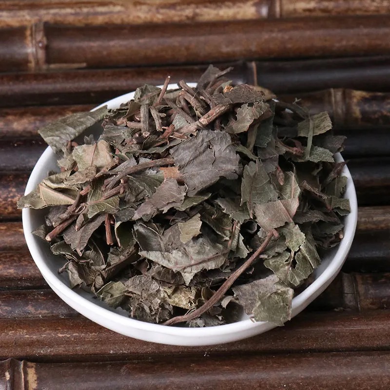 平地木中药材矮地茶野生平地木不出林叶底珠叶下红