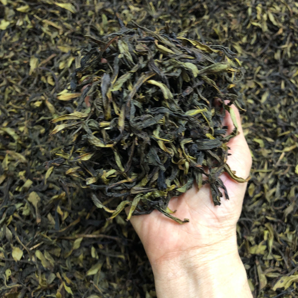 鳳凰茶頭清香型高山烏崬白葉鴨屎香鋸朵仔單叢茶頭1000g 鳳凰茶頭清香