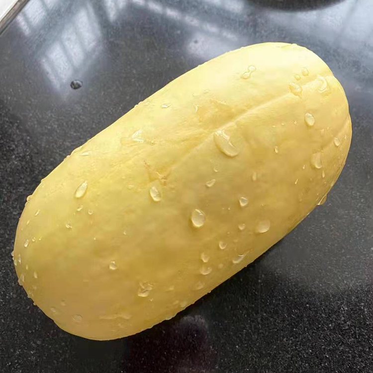 晨臻 石城特产 赣南石城特产杏瓜农家自种新鲜采摘时令蔬果黄皮笋瓜信