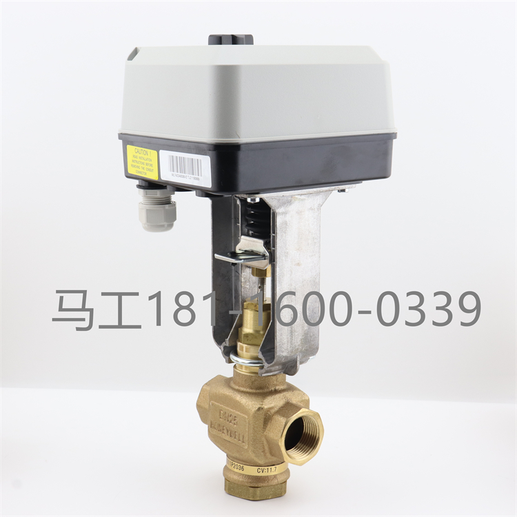 1dac262e98fafa6d.jpg