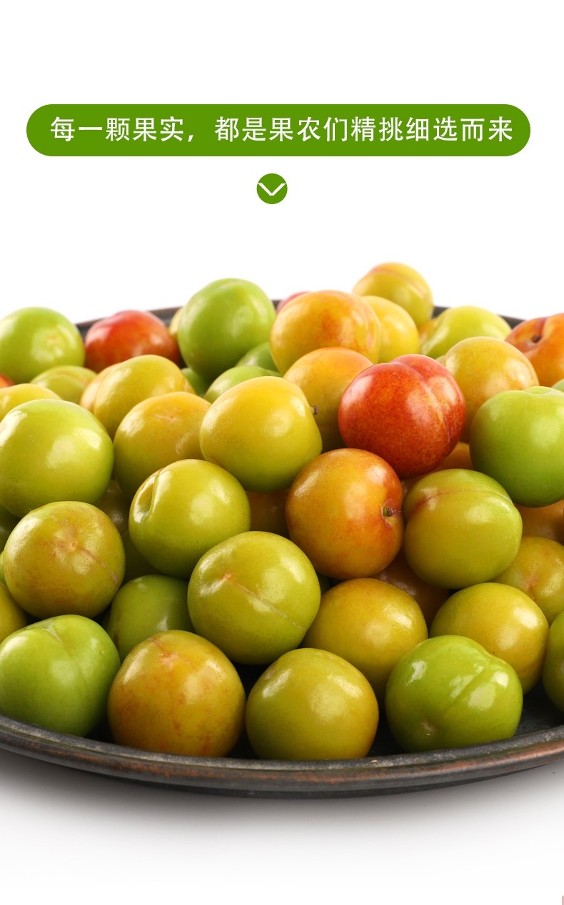 酸脆李三月李小李子当季新鲜孕妇水果青李子2斤尝鲜装
