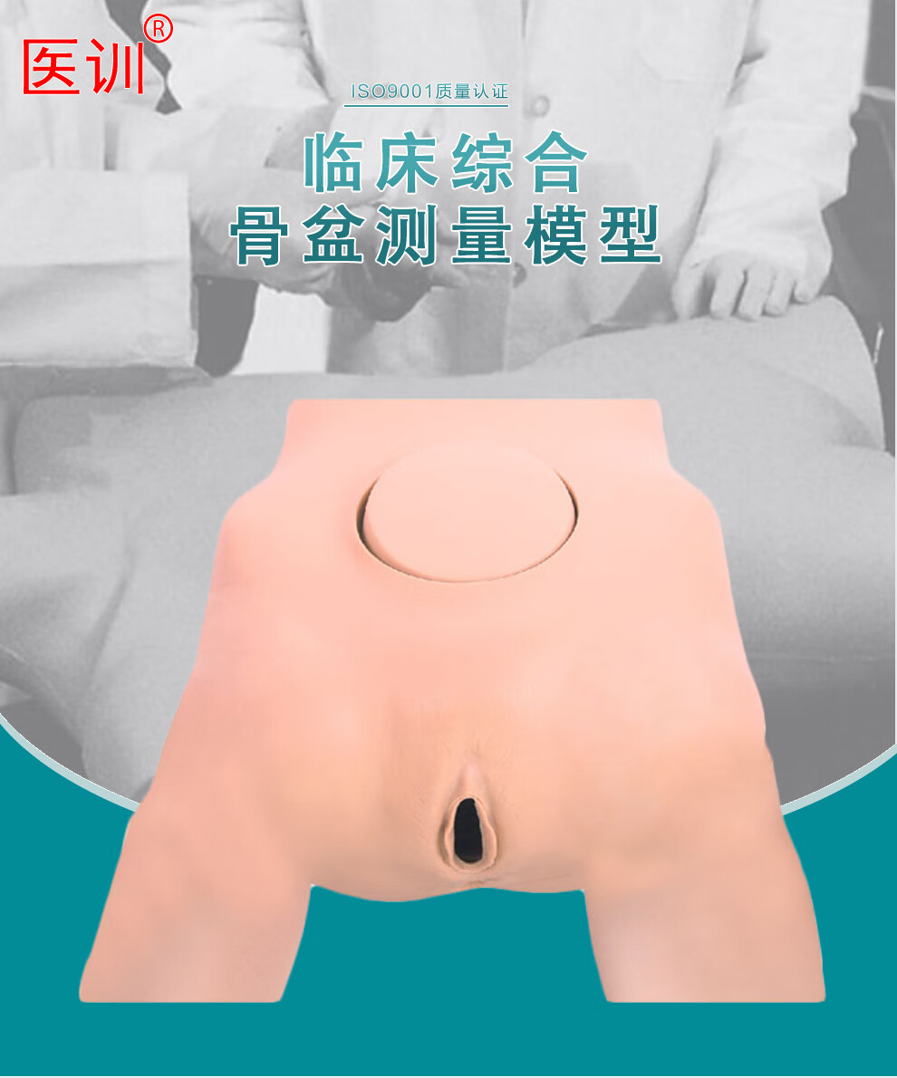 医训yx/f22 骨盆测量模型骨盆测量示教模型教学人体骨盆测量示教模型