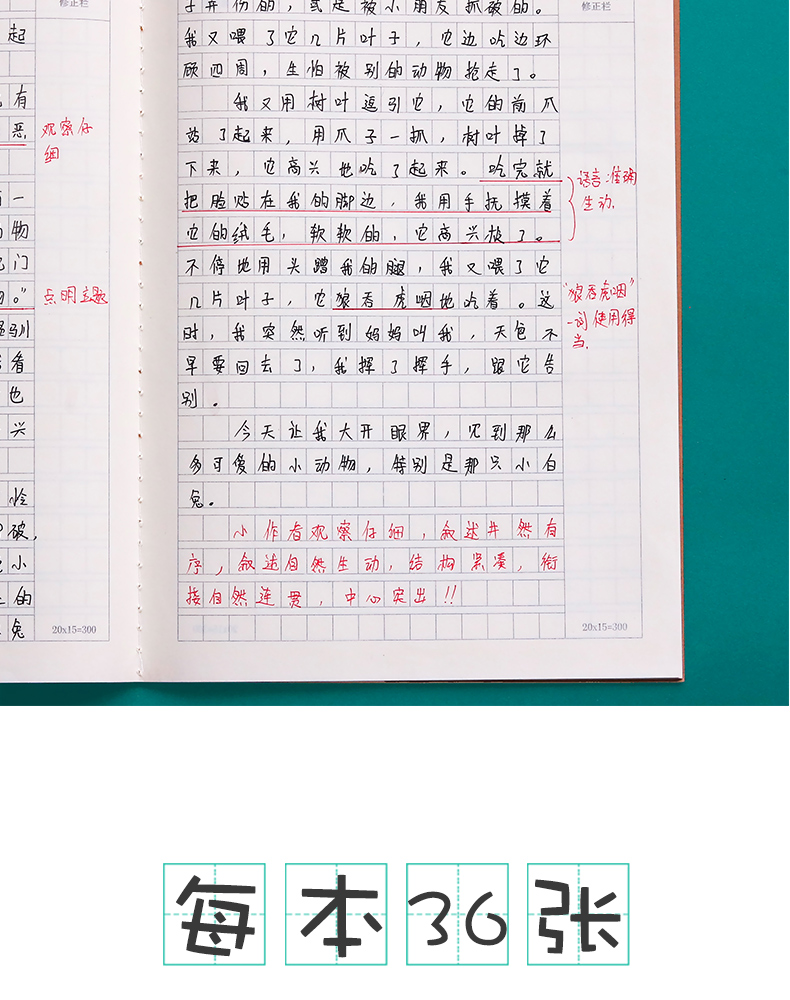 学生统一作文本小学生16k开大号三百300方格语文本3-6年级田字作文簿