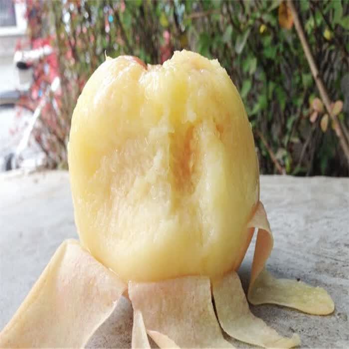 现货嘉兴凤桥三星水蜜桃新鲜时令水果湖景桃子12颗礼盒装顺丰 12颗