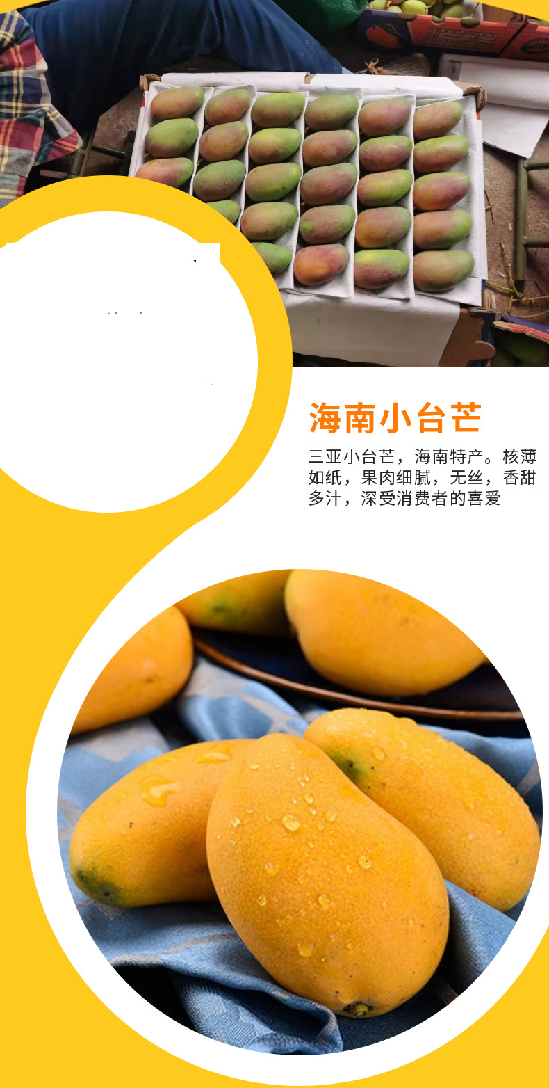 jd物流海南小台农芒果新鲜当季整箱热带爆甜小核台农芒水果过年送礼送