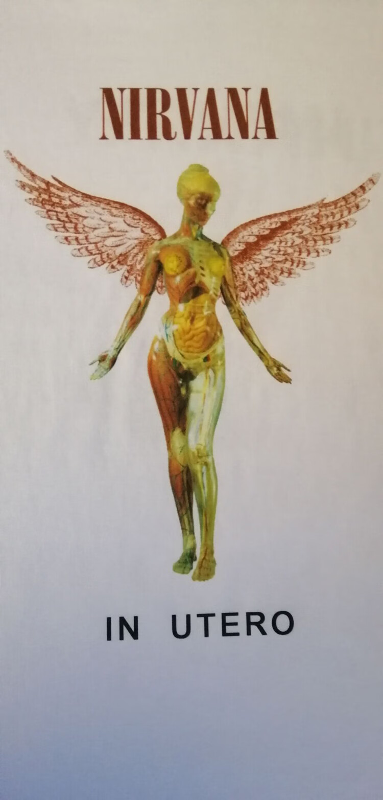 宝凡柏nirvana涅槃乐队inutero科特柯本涅盘天使摇滚男女t恤短袖粉丝