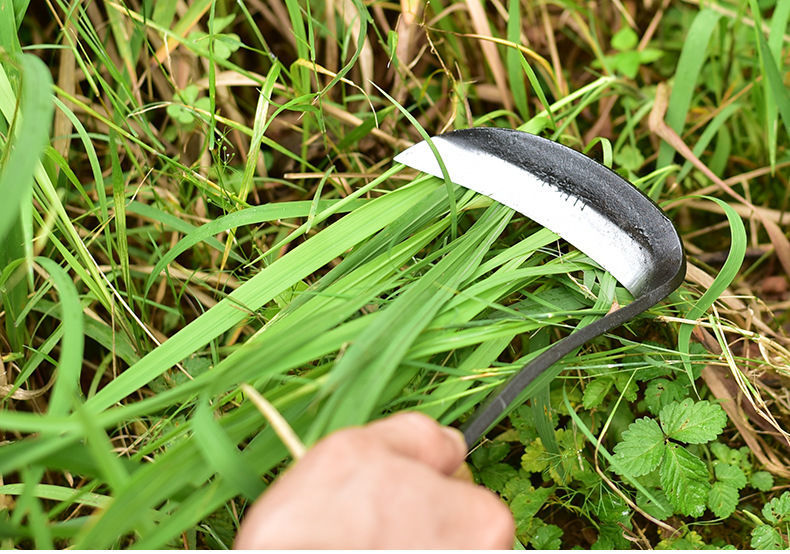 镰刀割草刀便携式小镰刀园艺家庭割菜割麦子割草除草禾镰刀收割刀挖