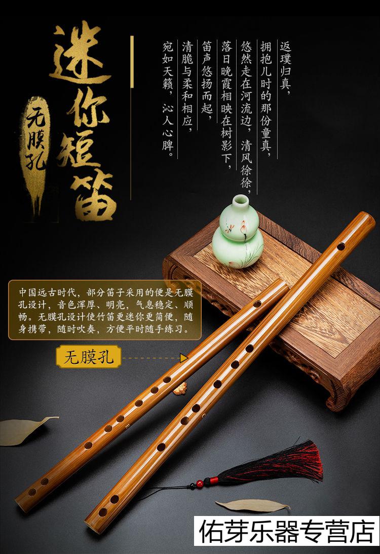 迷你短笛无膜孔横笛学生入门竹笛初学者儿童成人乐器女随身小笛子one