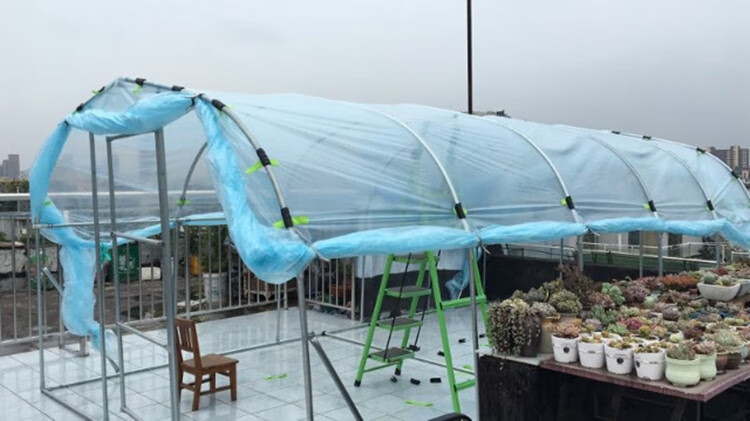 家用温室大棚家用温室花房 暖房大棚骨架钢管楼顶多肉 遮阳防水花棚