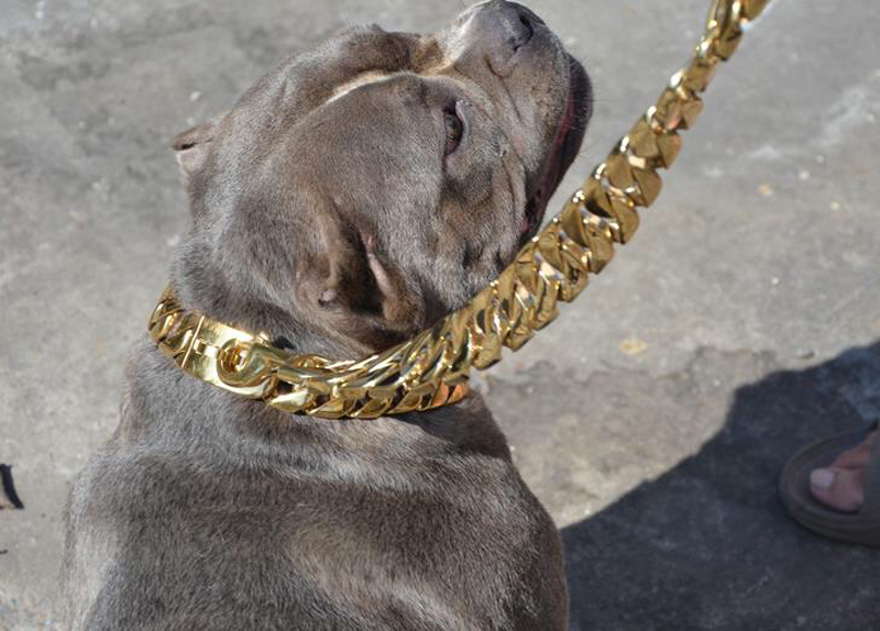 【可开票】不锈钢可调脖圈狗链大型犬猛犬卡斯罗杜宾斗牛恶霸定制项圈