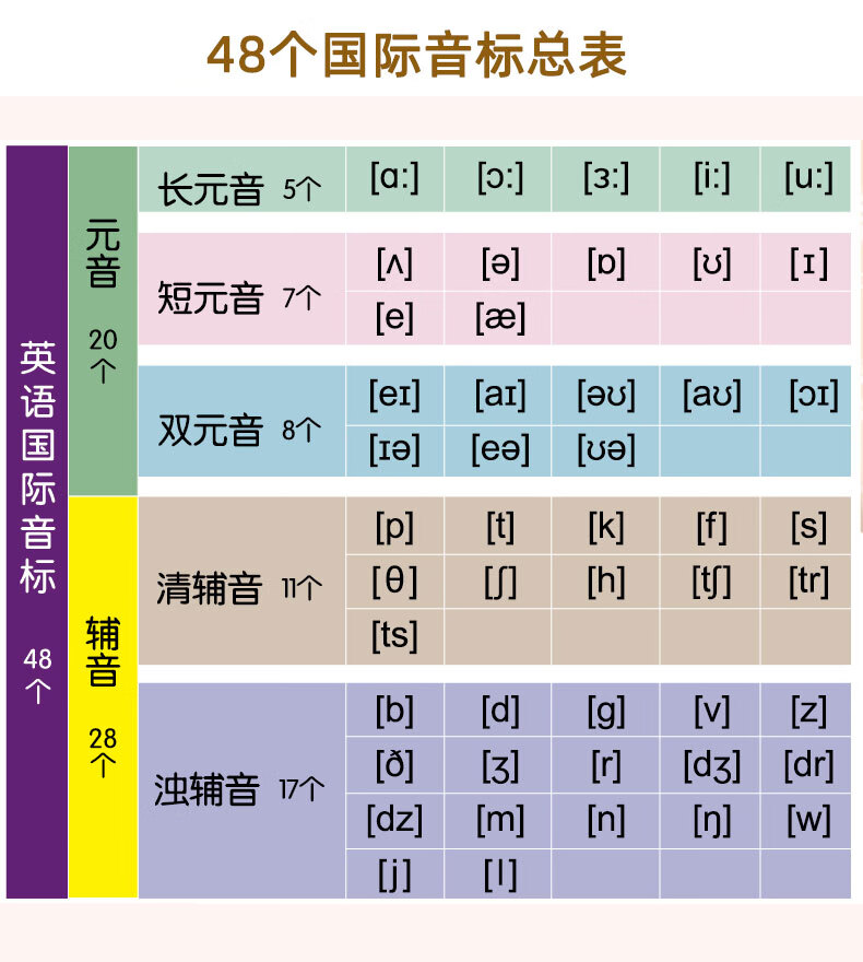 学音标快速记单词初中小学英语思维导图学习i神器48张音标卡片 新版