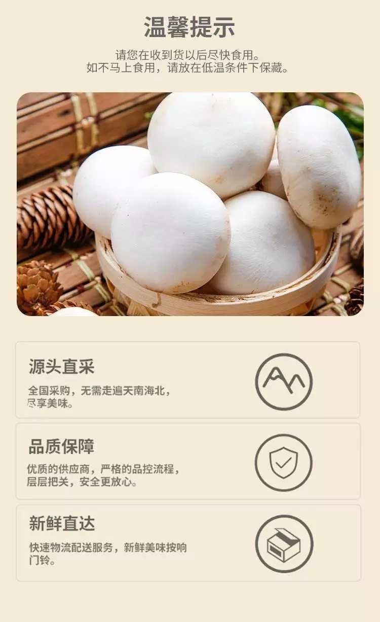 新鲜口蘑白蘑菇双孢菇食用菌无公害营养烧烤食材时令一斤装原生态口蘑