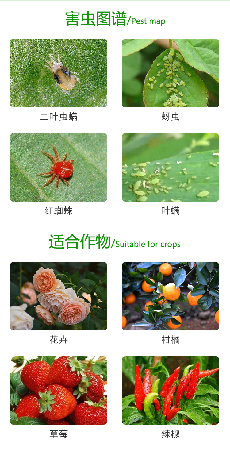 林之福 爱卡螨金满枝植物花卉月季家用药红蜘蛛专用蚜虫农药杀虫药杀