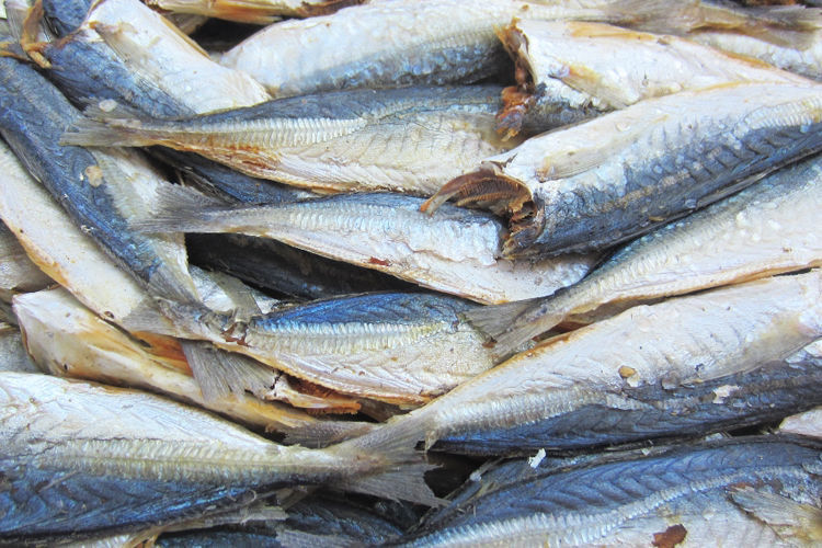 新鲜巴浪鱼干去头海鲜咸鱼干小鱼干袋装福建特产批发宏嘉睿巴浪鱼干5