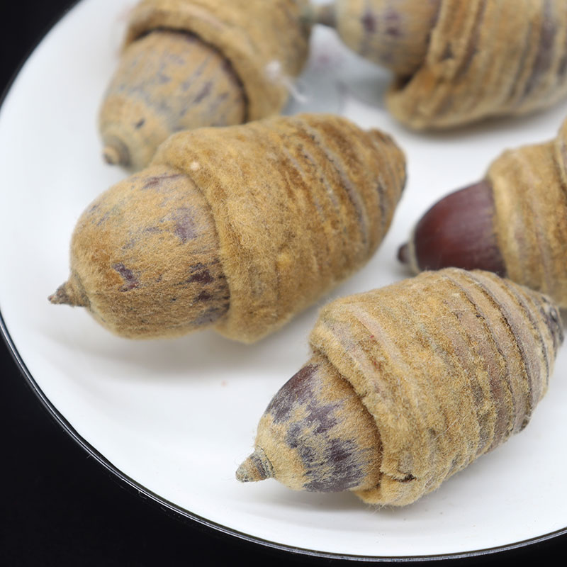 狗鞭果广西野生风流果猪仔粒男人泡酒料中药材干货毛毛大果锁阳果500