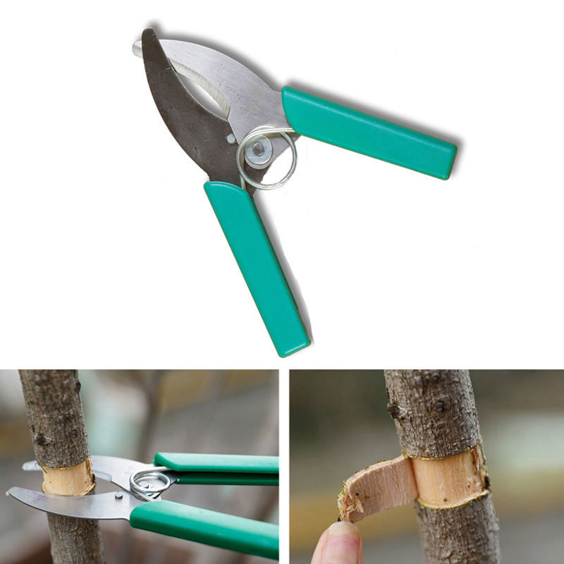 果树环割刀环枝剪刀环剥树皮环切果树剥皮开甲放浆果园艺割树皮劲诚
